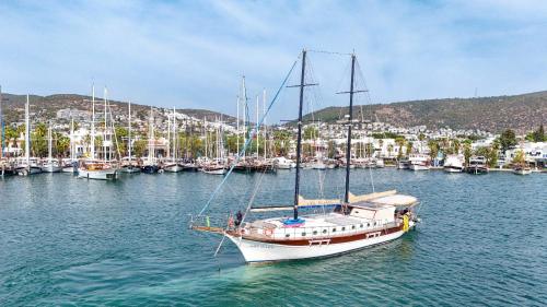Lıfe ıs lıfe — other in Bodrum, Bodrum City Turkey, 48310