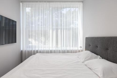 Jūrnieka Ligzda - image 12