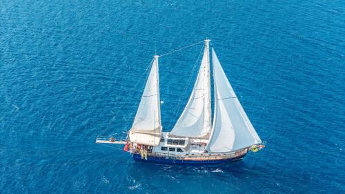 Giulietta, Bodrum