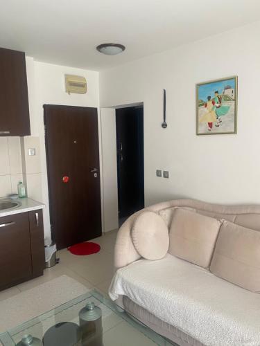 One-Bedroom Apartment image 10
