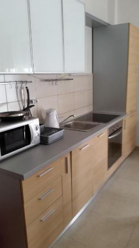 Apartment Vinograd