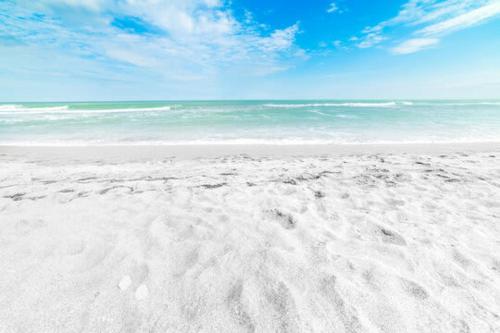 Siesta Key Village Heated pool - image 3