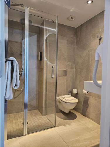 Ibis Styles La Rochelle Centre les Minimes - 화장실
