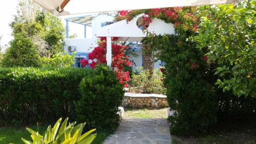 Panorama Paros - image 10