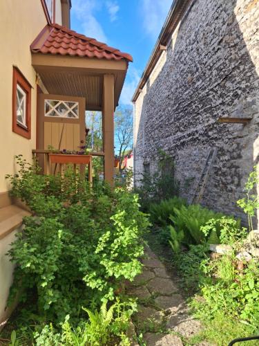 Garden, Villa Villu Kalamaja - 4 Level Apartment with Sauna & Terrace in Kalamaja