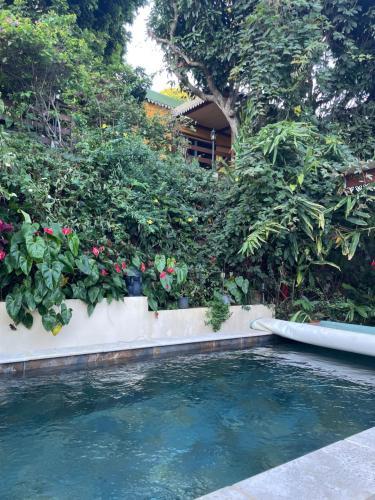 Chez Dolores in Saint Paul