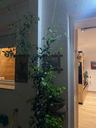 One-Bedroom Apartment image 1