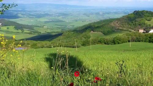 森苏诺瑞丽斯酒店