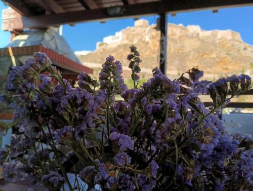 Sofia Skyros, Skiros (photo 2)
