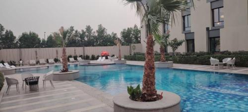 Úszómedence, Braira Al Rass بريرا الرس in Ar Rass