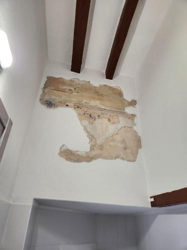 Margot76, Parma (zdjęcie 6)