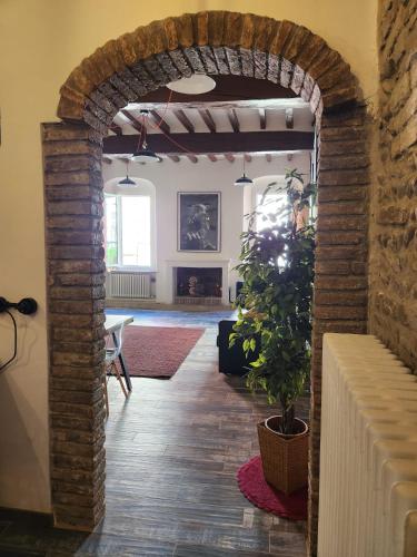 Margot76, Parma (zdjęcie 7)