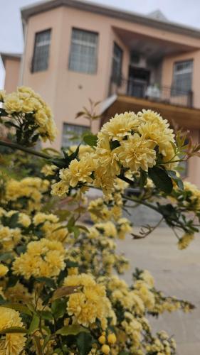 Guest House Savalan in Bilgah