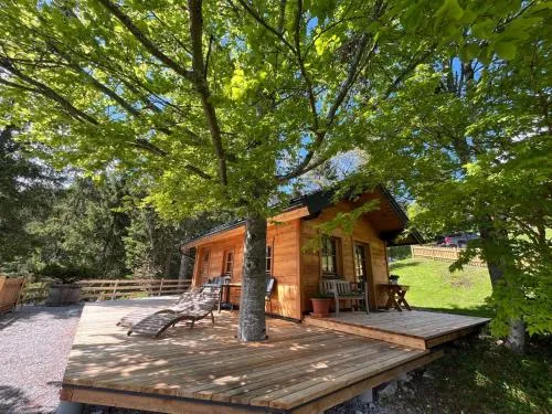 Hütte Neuhaus in Annaberg im Lammertal, Österreich