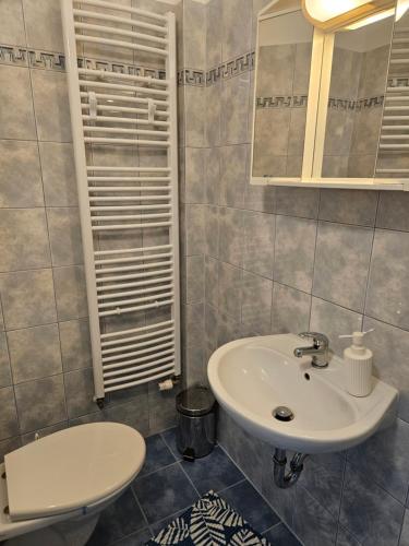 Guest House Pod Lesem Merklín - image 11