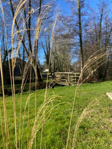منظر, L'Ostau deu Bonur - chambres d'hôtes (L'Ostau deu Bonur - chambres d'hotes) in أودوس