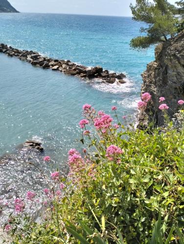 Central Studio in Moneglia 20 steps from beach and 20 minutes from the Cinque Terre by train, Moneglia (Foto 2)