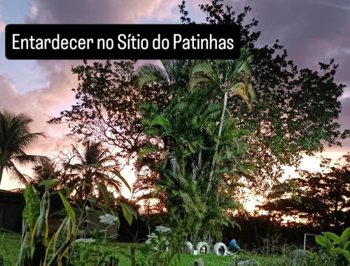 Sítio do patinhas — other in 280 Rua Manoel Reina Gomes, Nova Iguaçu Brazil, 26292-024