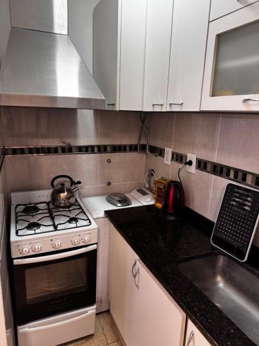 One-Bedroom Apartment image 8