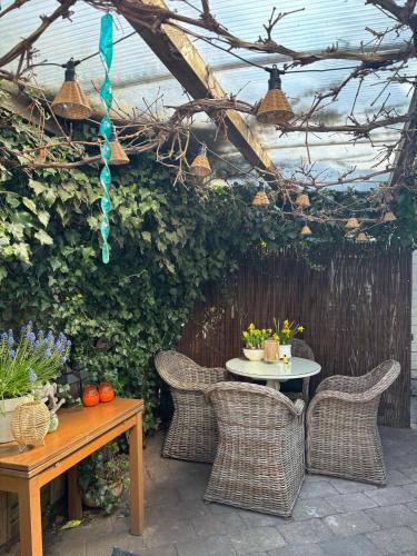 Сад, B&B de Zandtaart in Егмонд-ан-Зеє