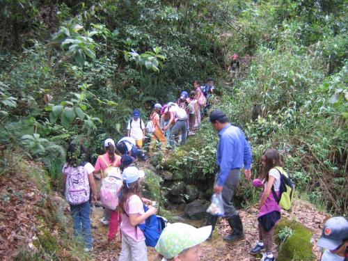 Hotel Raquira Silvestre Lodge