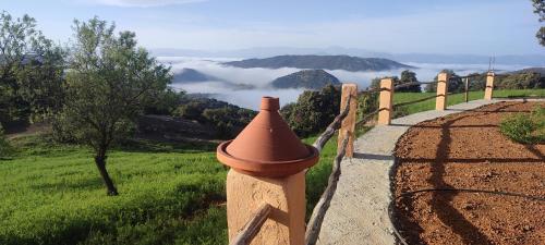 Houcine gite in 타자