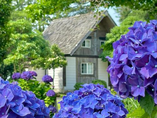 Photo - Log Park Dochidol Ranch