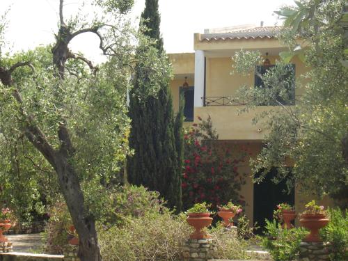 Hotel Poggio Degli Ulivi - image 3