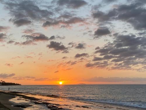 Coral Of The Seas - Fire Coral in Aguada