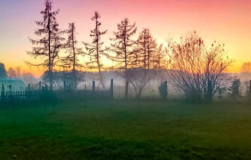 Skats, Awesome Home In Kolsko in Slawa