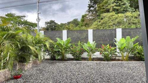 Malinche Charming Home WiFi and free Parking near La Fortuna - image 4