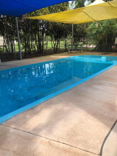 Úszómedence, Batchelor Holiday Park in Batchelor / Litchfield Nemzeti Park