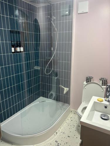 East Dulwich - double room with en suite, Londyn (zdjęcie 3)