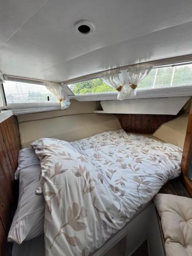 Cocon sur l eau in 蒙達爾紀