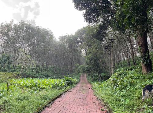 Apkārtne, Cozy Scenic Farmhouse Retreat in Bantwal