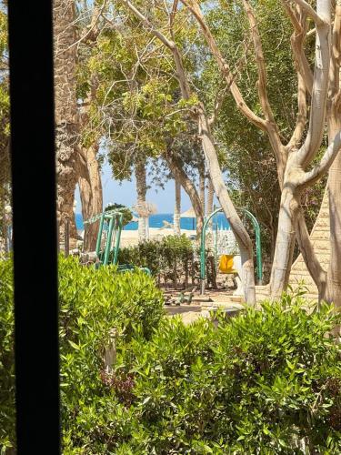 صن لايت in Ras Sedr