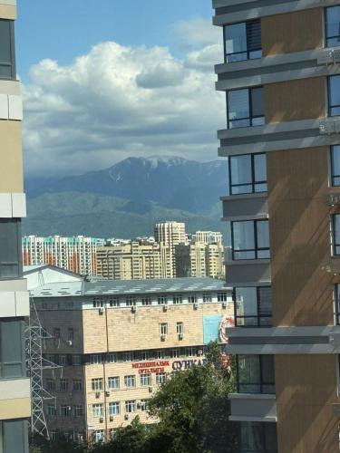 Двухкомнатная квартира с дизайнерским интерьером и видом на горы, Almaty (foto 11)