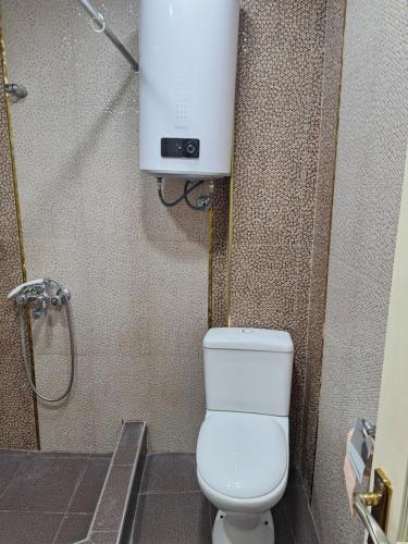 Comfortable Apartment in the City Centre in Goght