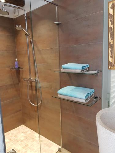 Shower, Mas Des Collines Chambre de Charme avec vue et Piscine in Montaulieu