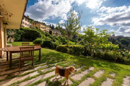 Villa Panoramica, Bergamo (fotografie 6)