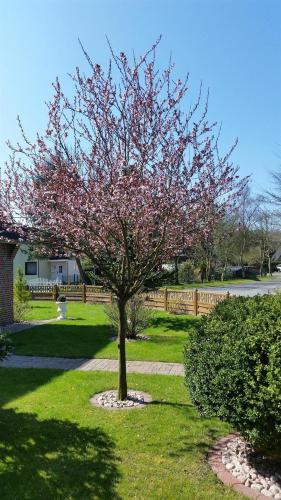 Ferienhaus Wiedingharde I - image 6