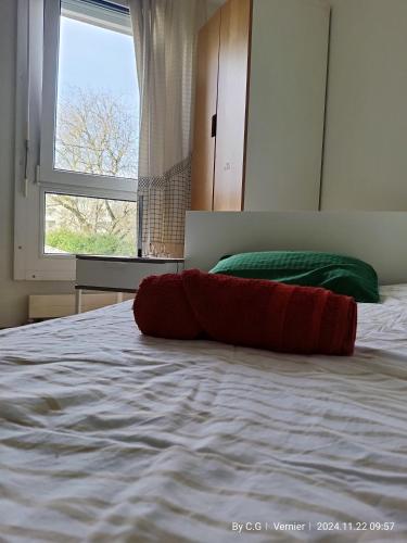Jolie Chambre confortable proche de l'aéroport, Ginebra (foto 5)