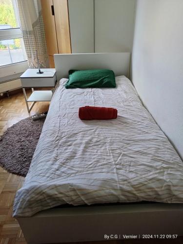 Jolie Chambre confortable proche de l'aéroport, Ginebra (foto 6)