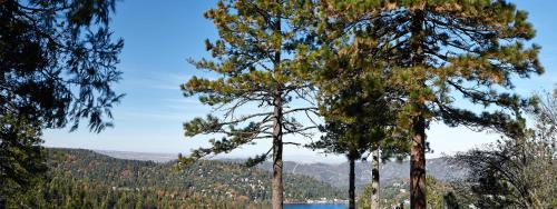 Lake View Haven - image 6