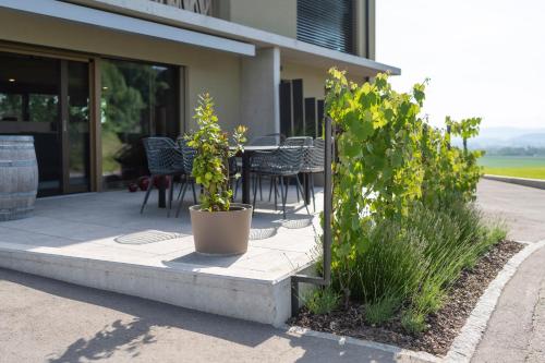 Le Rive Sud in La Broye