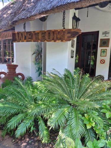 African Ambience in Saint Lucia Estuary