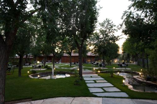 コンプレヨ ラ シグエナ