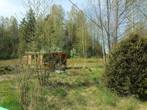 Korjuse Moori metsaonn- forest hut in Võsu