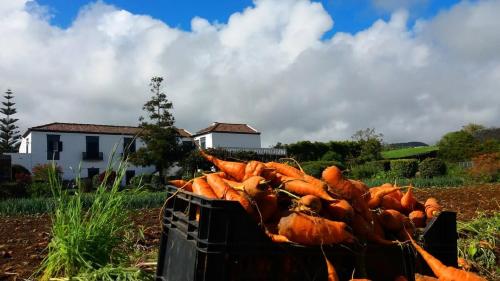 Ninho do Cedro - Azorean tranquility in ลิฟราเมนโต