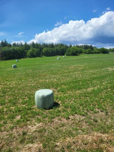 Apkārtne, A la campagne in Saissac